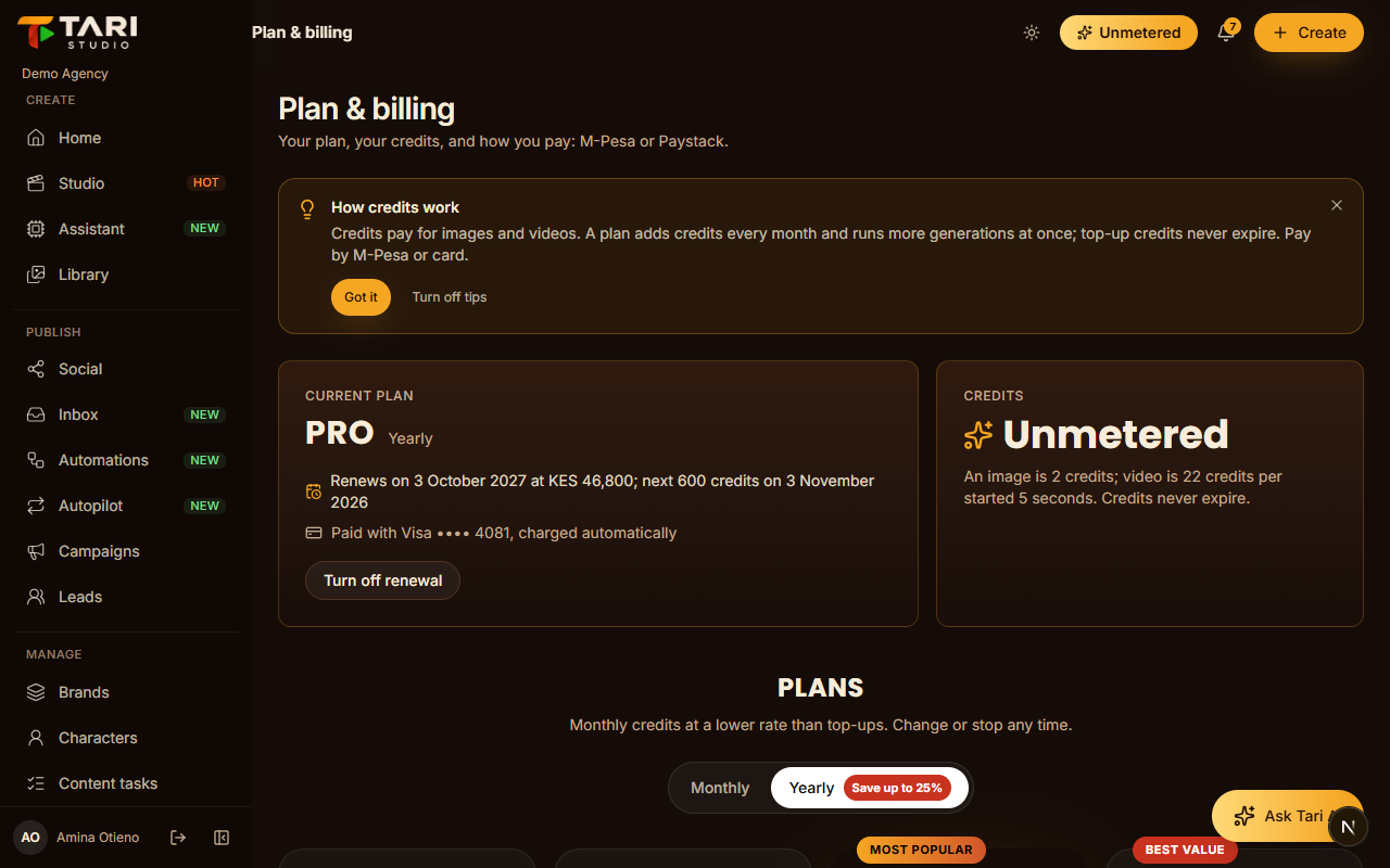 The plan and billing page with the credit balance and top-up options